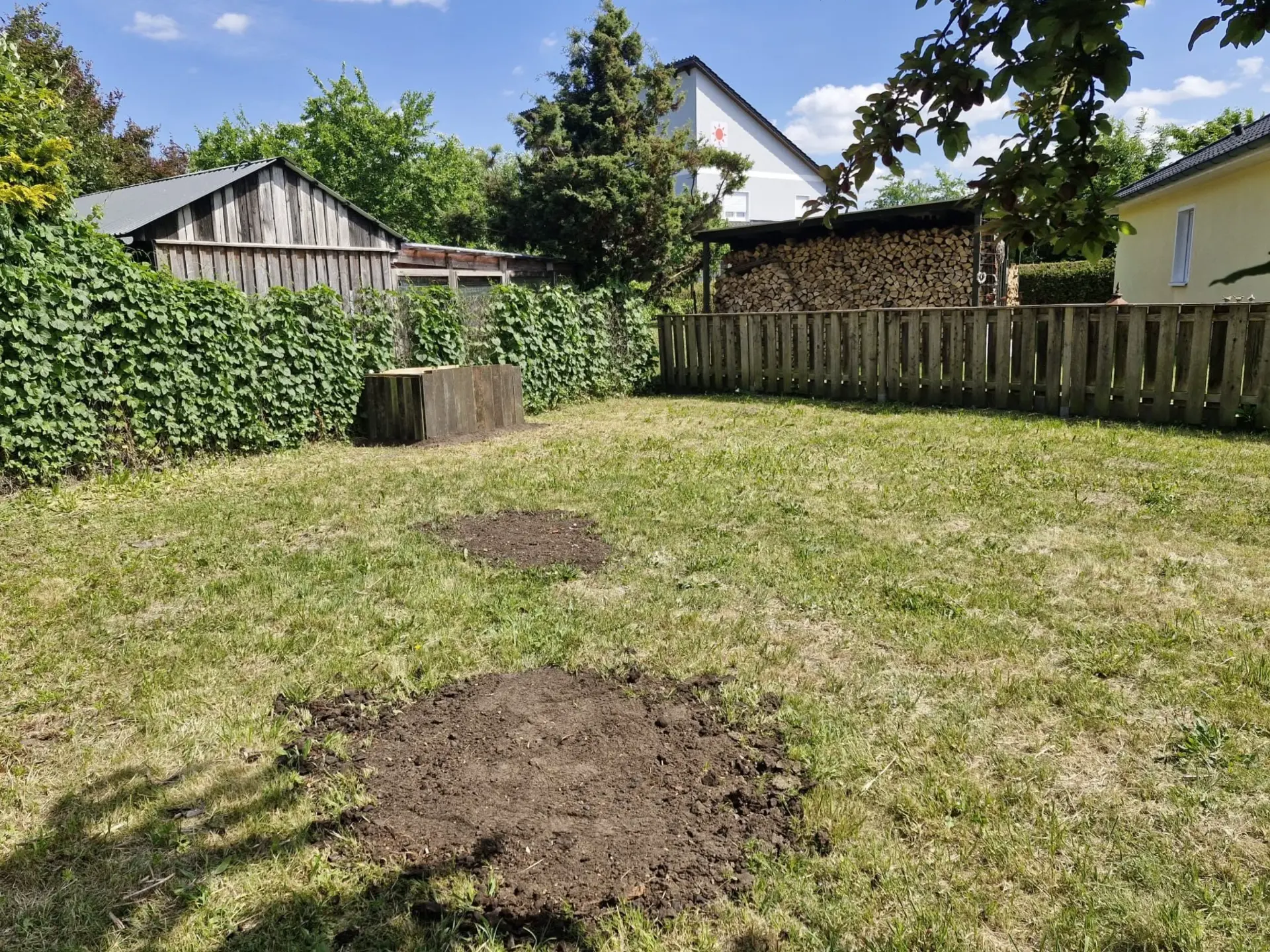 Gepflegter Garten nach der Räumung: freie Rasenfläche mit Zaun und Holzstapel